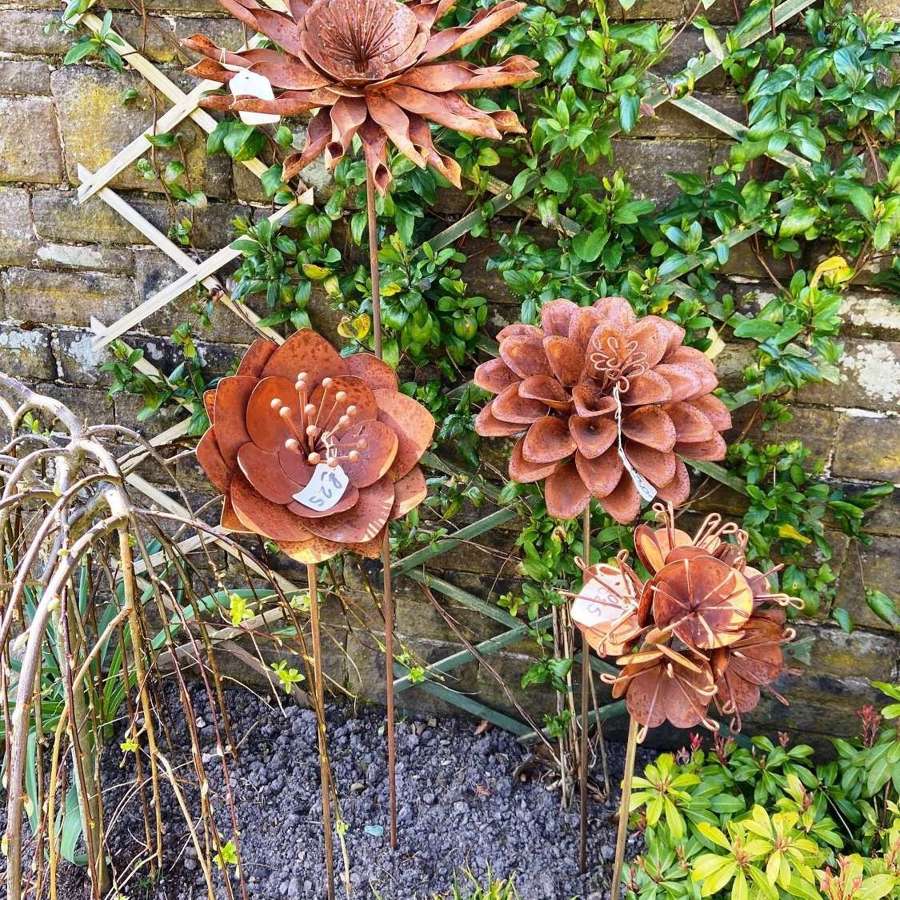 Rusty Flowers