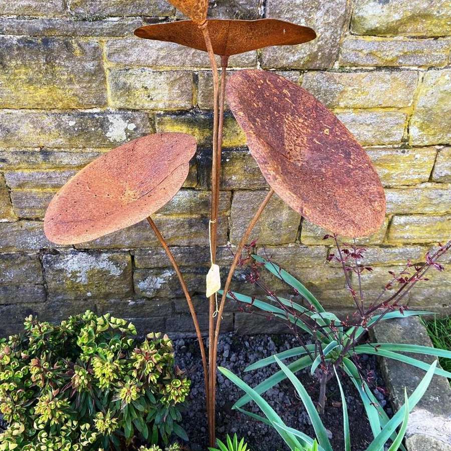 Rusty Lillies