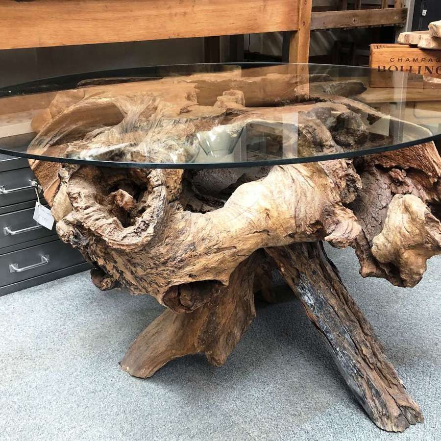 Tree Root Base Glass Top Table