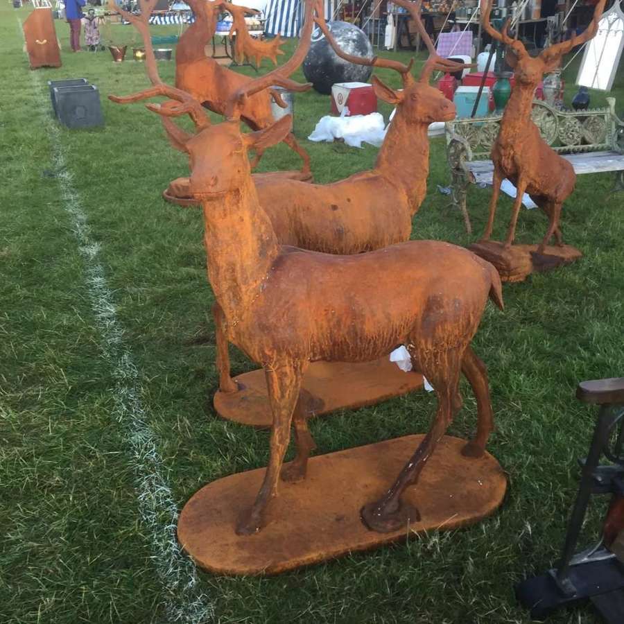 Rusty Stag