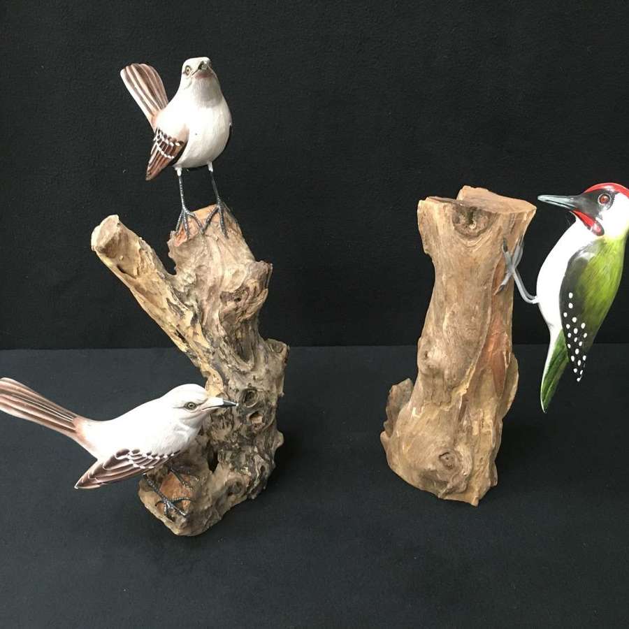 Birds on Branches