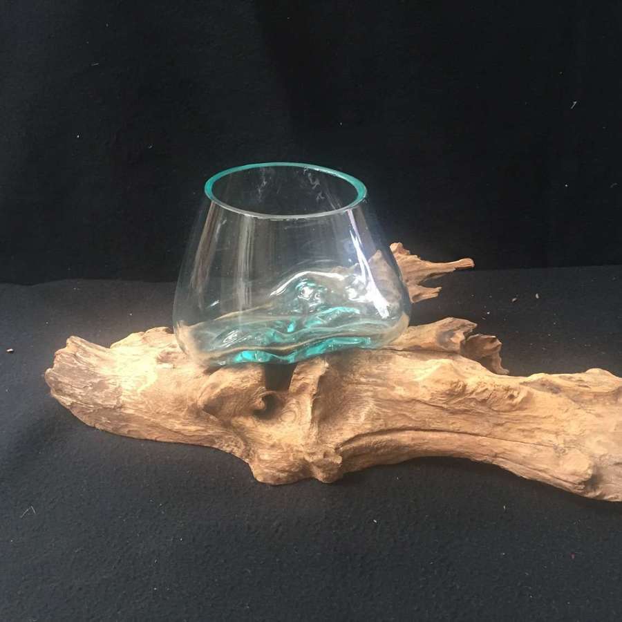 Glass Root Vases