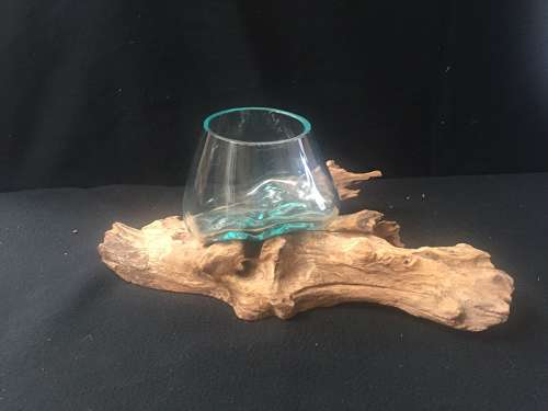 Glass Root Vases