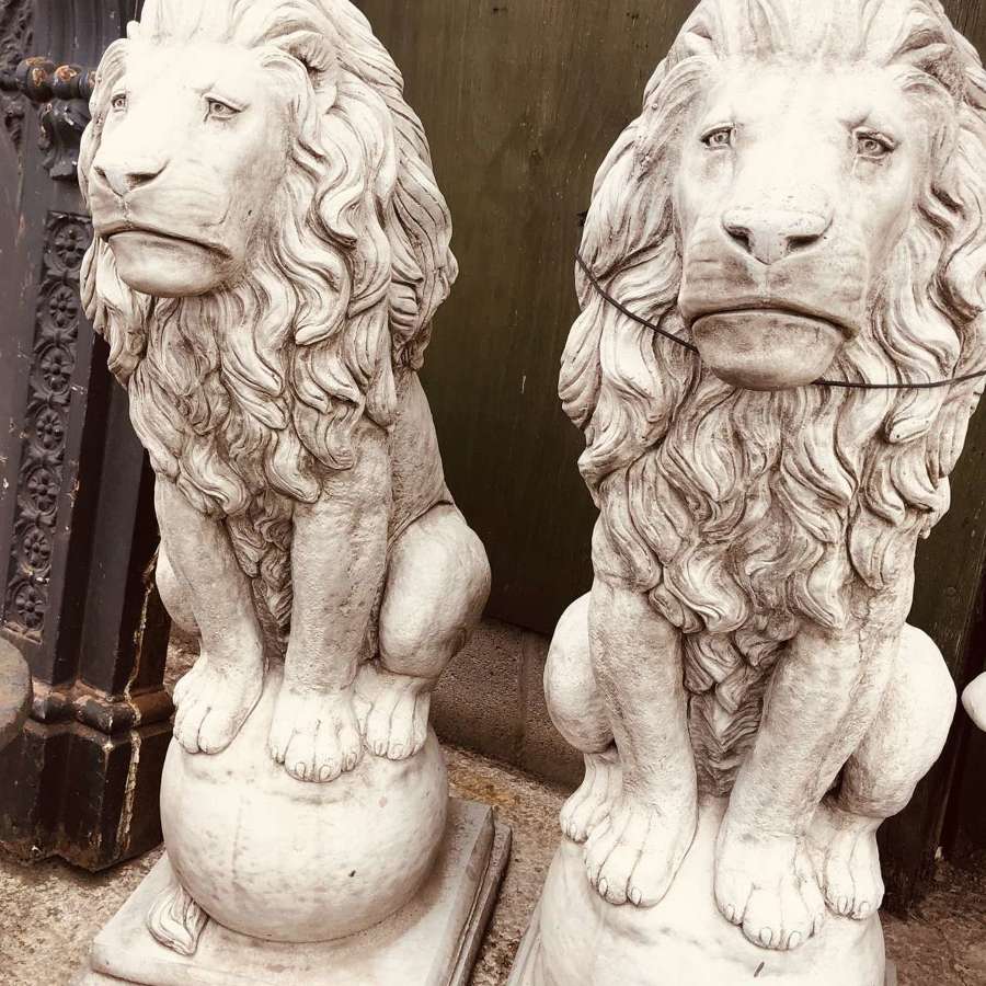 Pair of Lions